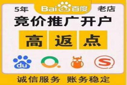 解析SEM托管公司经典案例：如何制定有效的广告策略